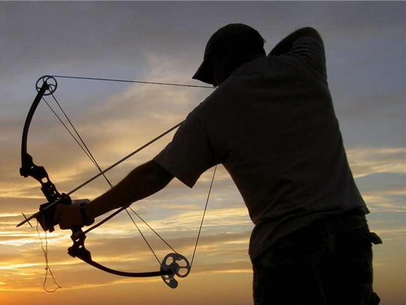 Фалстарт на делото за убитото с лък бездомно куче в Пловдив