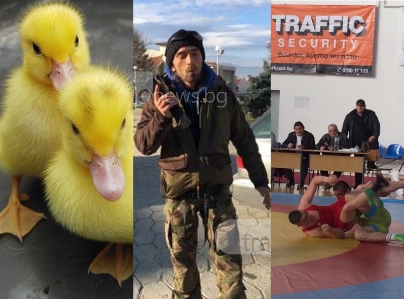 ЕМИСИЯ НОВИНИ: Птичи грип в Пловдивско, 25 хиляди за спасителна акция и сблъсъци на тепиха под тепетата