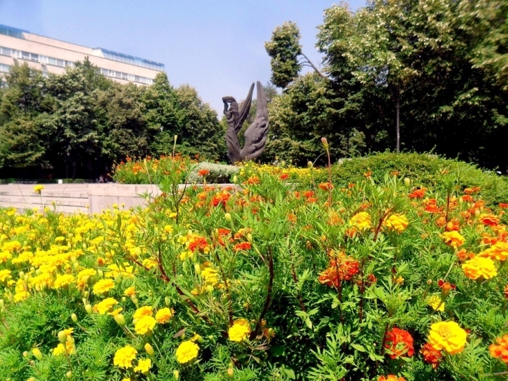 Пловдив с рекорд! 3 милиона цветя са засадени под тепетата СНИМКИ