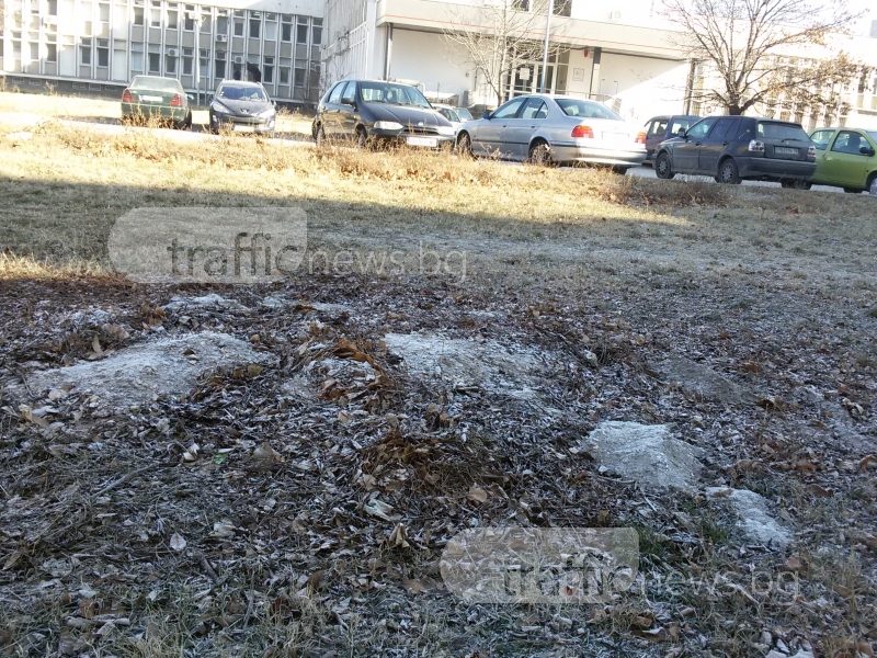 Пловдивчанка се оплака: Съседите изхвърлят пепелта от печките си в зелените площи! СНИМКИ