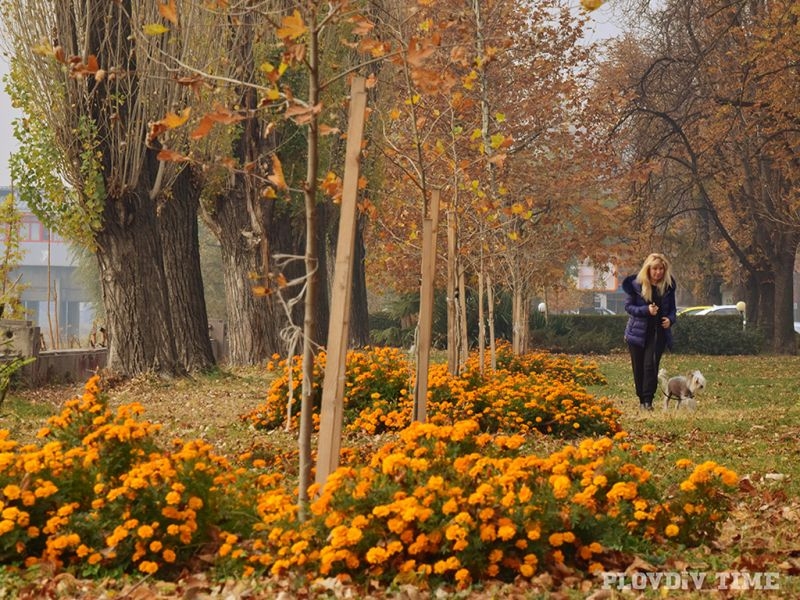 Разходка сред милионите цветя в Пловдив