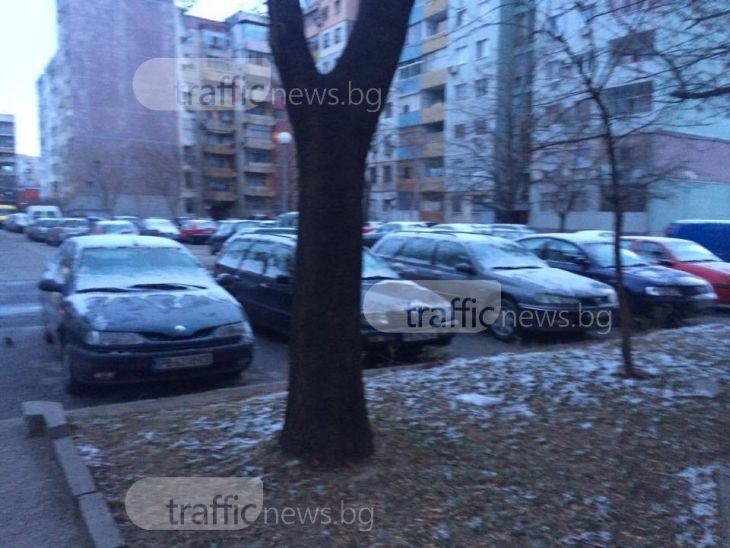 Снежна покривка  покри Пловдив, валежите продължават и утре СНИМКИ