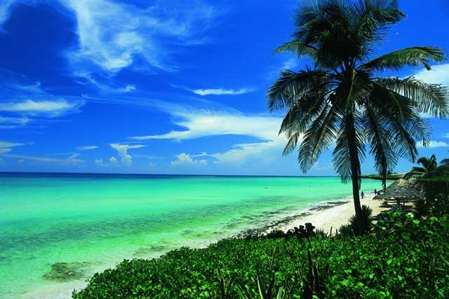 Над 800 служители получиха новогодишен бонус - почивка на Карибите