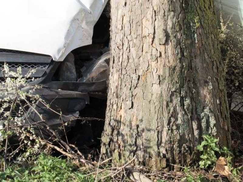 Кола се вряза в дърво в Пловдивско, един е в болница