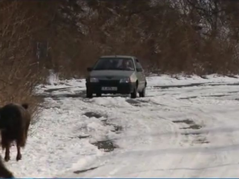 Затвориха прохода Троян - Кърнаре, метър сняг, десетки закъсали ВИДЕО