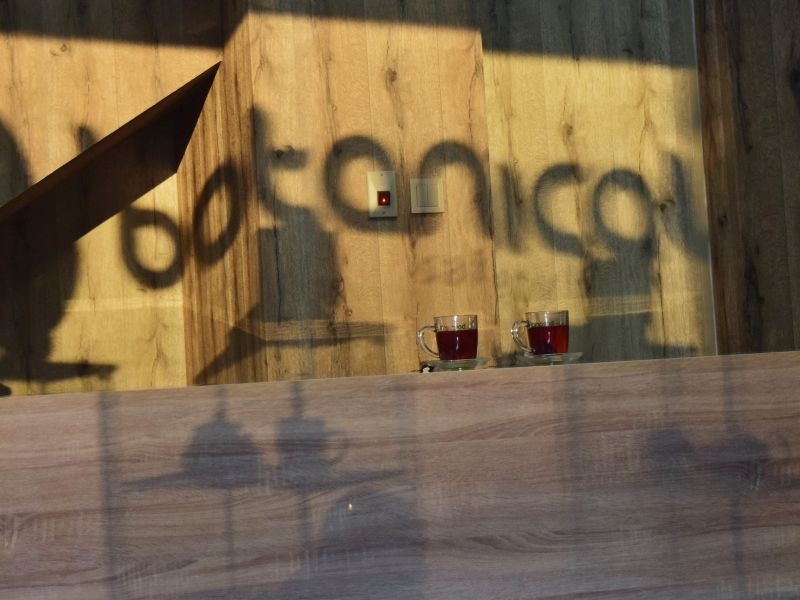 Пловдивчани полудяха по нов вид екзотичен чай с билки от Африка СНИМКИ