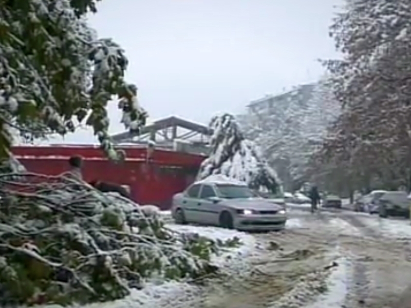 Снежна равносметка - шест блокирани области и 130 хиляди домакинства без ток