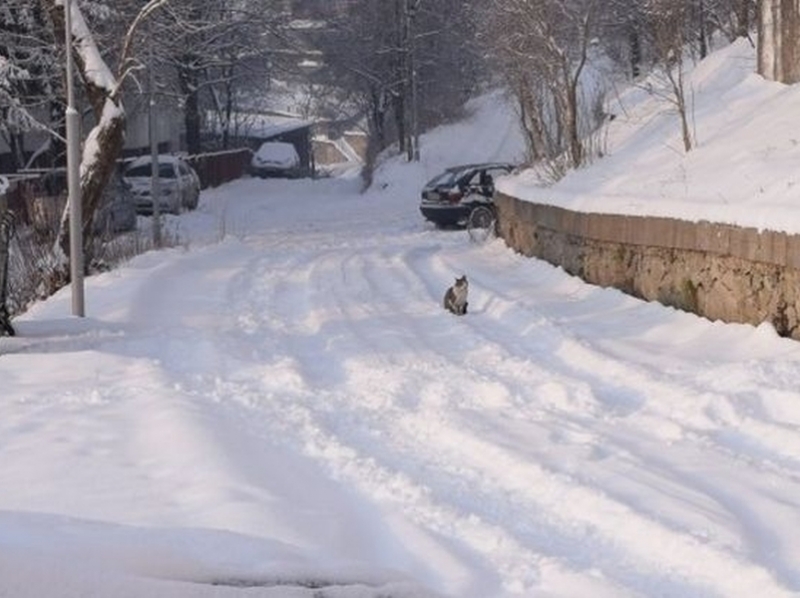 Автомобили закъсаха по пътища в Пловдивско заради снега