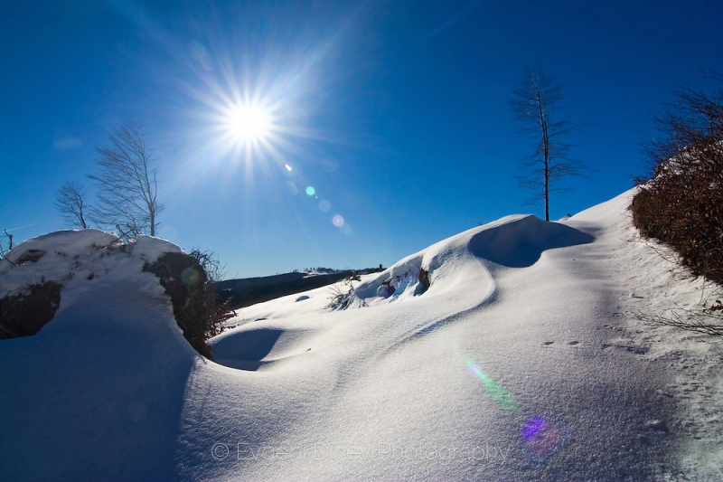 Сибирският студ отстъпва място на южния вятър и слънцето! Рязка промяна на времето днес