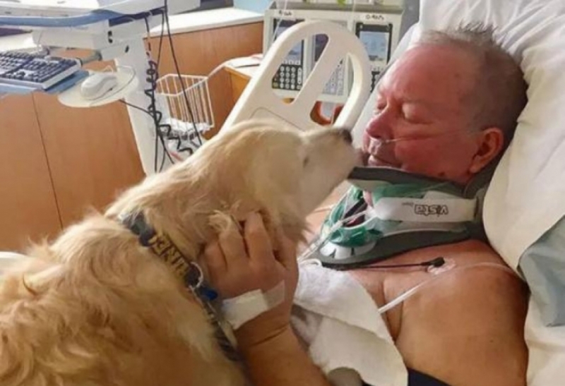 Куче спаси стопанина си, след като 24 часа лежа върху него