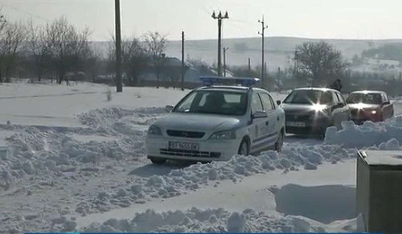 Задържаха собствениците на кучета, нахапали до смърт възрастна жена