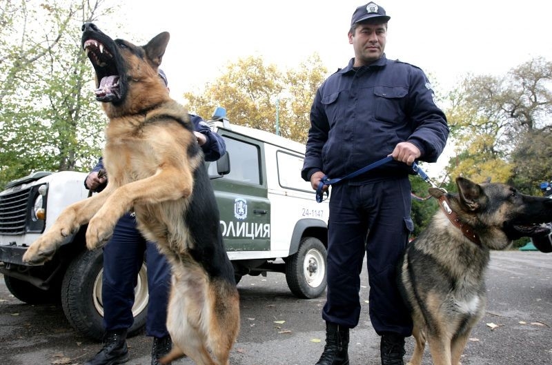 Куче откри труп на мъж край хасковско село