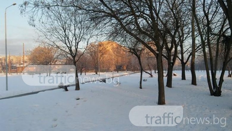 Жълт код за студ в Пловдив, но температурите сутринта дори не се доближиха до неделните