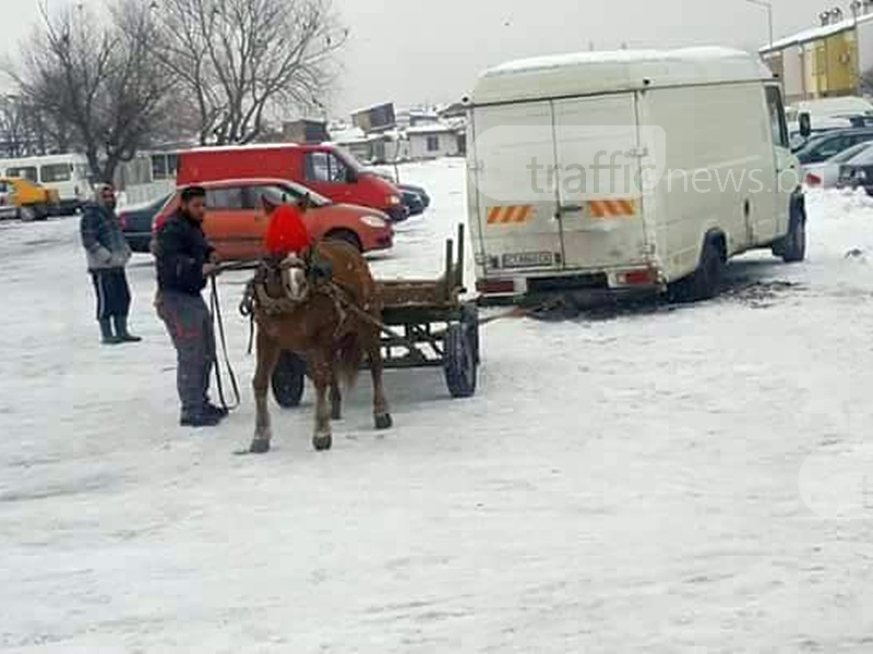 Мъчение над животно: Накараха кон да тегли микробус в Пловдив ВИДЕО