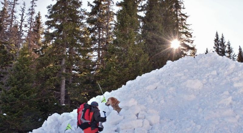 Среднощна акция в Родопите! Спасители издирваха пловдивчанин и спътницата му