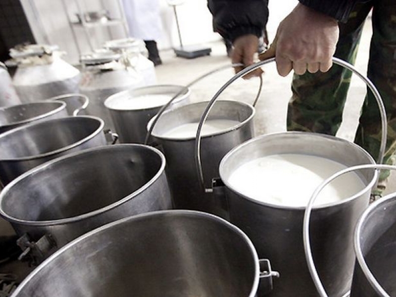 Фермери на бунт! Ще изливат мляко пред земеделското министерство