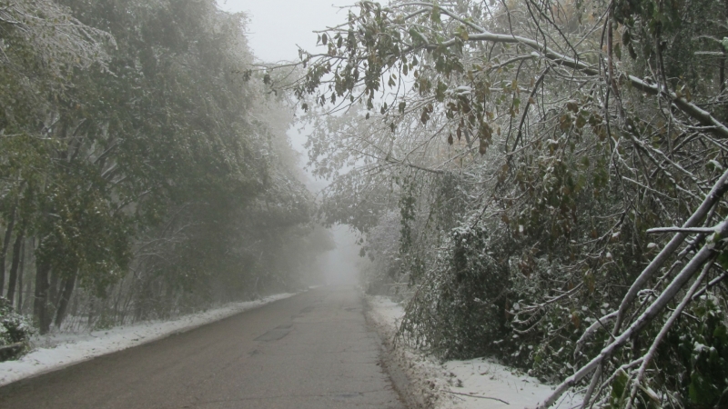 Какво е състоянието на пътищата в страната в днешния пореден снежен ден