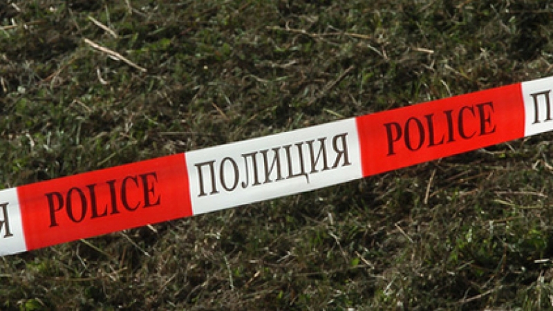 Полицията разкри за два часа убийството на възрастна жена в Пловдивско