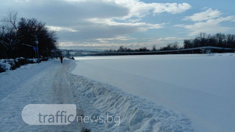 Зимно предизвикателство в Пловдив! Хайде да се надбягваме с шейни