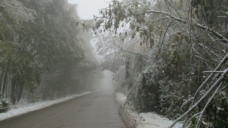 Затварят пътища в Родопите заради силен снеговалеж