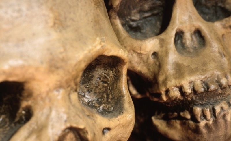 Зъбите на пещерния човек били по-здрави от нашите - ето защо