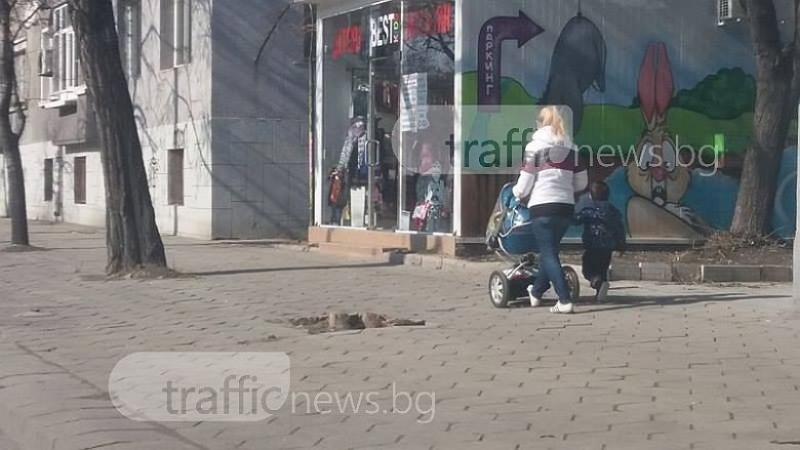 Майки с деца минават покрай разлагащи се трупове на животни в центъра на Пловдив СНИМКИ