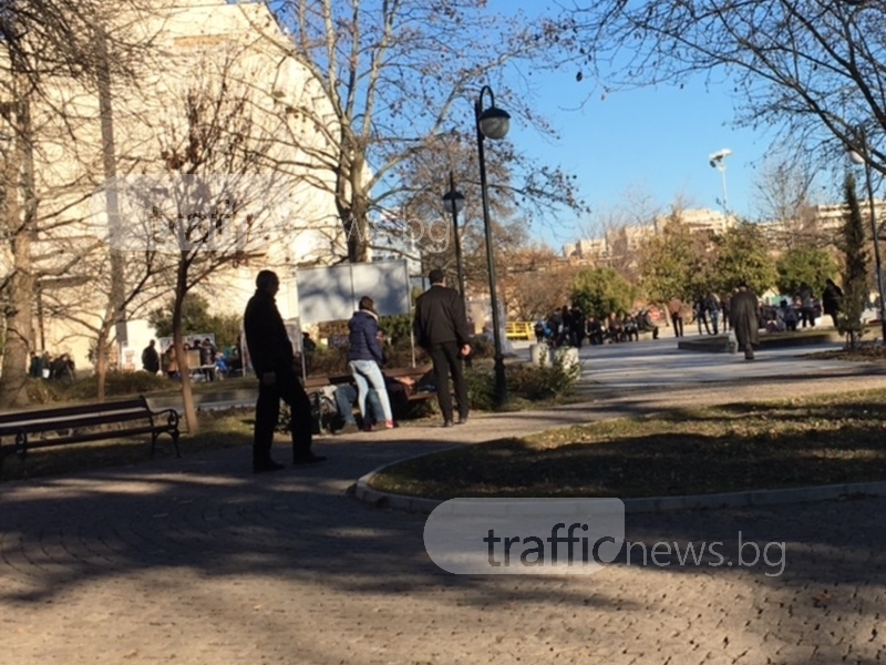 Общинска охрана брани пейките в Пловдив – легнеш ли, гонят те СНИМКА