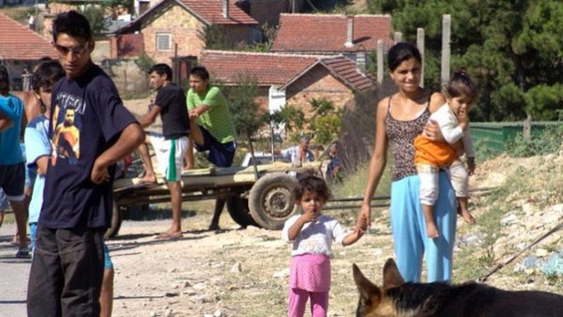 Побеснели ромки нападнаха социални работнички и ги набиха