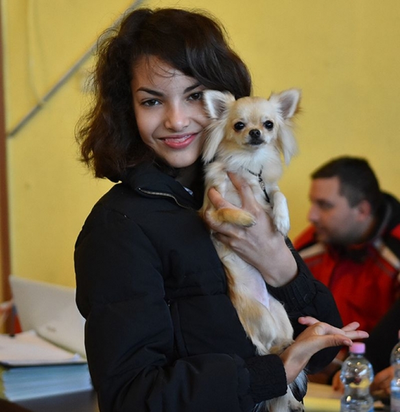 Елитни кучета от чужбина гастролират в Пловдив