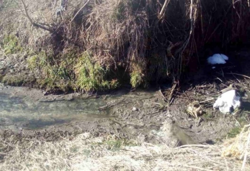 Фекалии и битови отпадъци се изливат в река Потока до пловдивското село Труд 