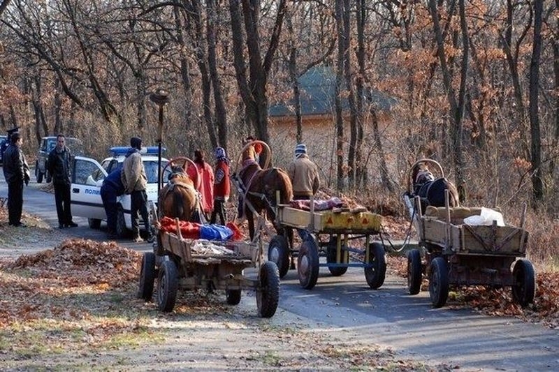 Горски служители на протест заради пребитите свои колеги в Панагюрище