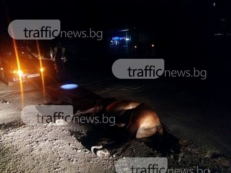 Кола помете колона от каруци, двама мъже загинаха намясто