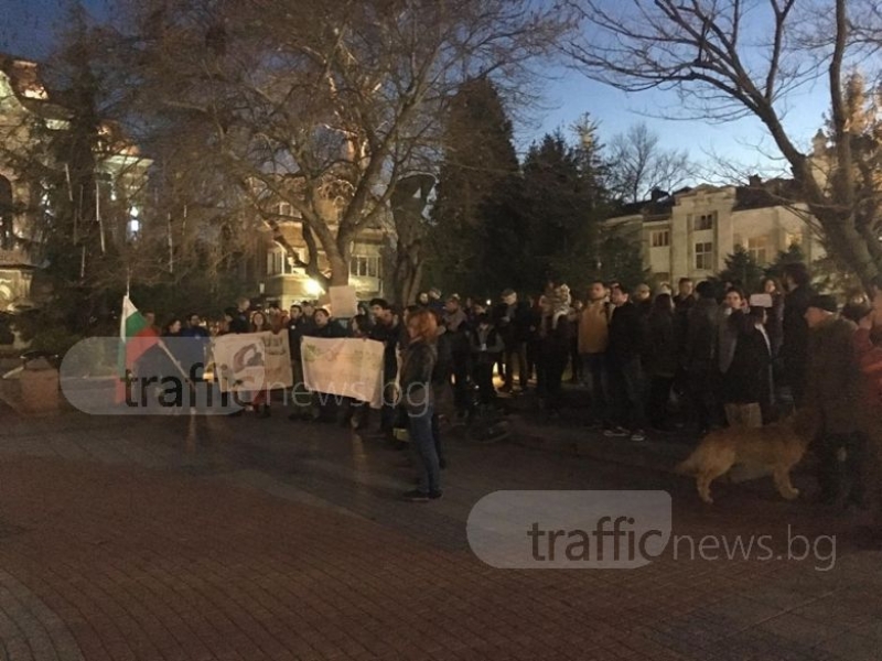 И природозащитниците от Пловдив излязоха на протест за Пирин СНИМКИ