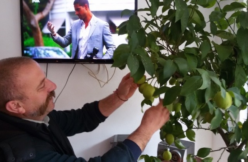 Хотелиер в родопски град  привлича туристи с домашно отглеждани лимони