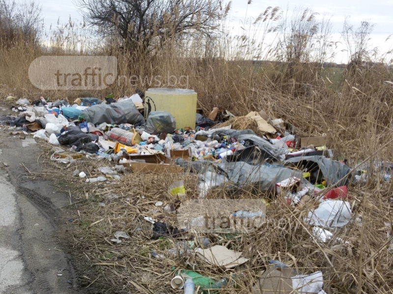 Омърсената родина: Сметище загрози Околовръстното на Пловдив СНИМКИ