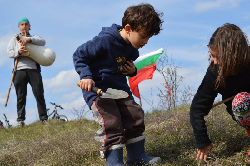 Доброволци засаждат 1300 бора в Пазарджишко и Пловдивско