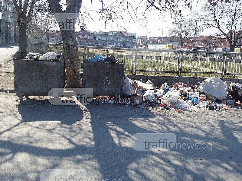 Цигани от Шекера тровят с конска тор и боклуци  съседен квартал  СНИМКИ