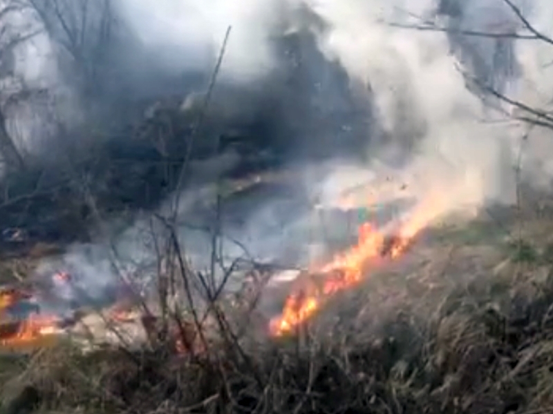 Пожар обхвана 100 декара борова гора и сухи треви, най-вероятно е причинен от овчари ВИДЕО