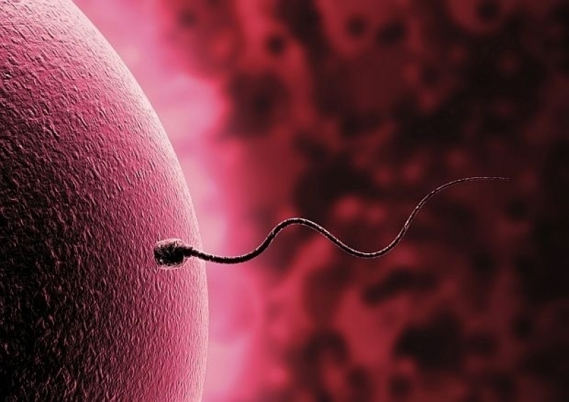 Мъжете ще тестват качеството на спермата си чрез... смартфона си