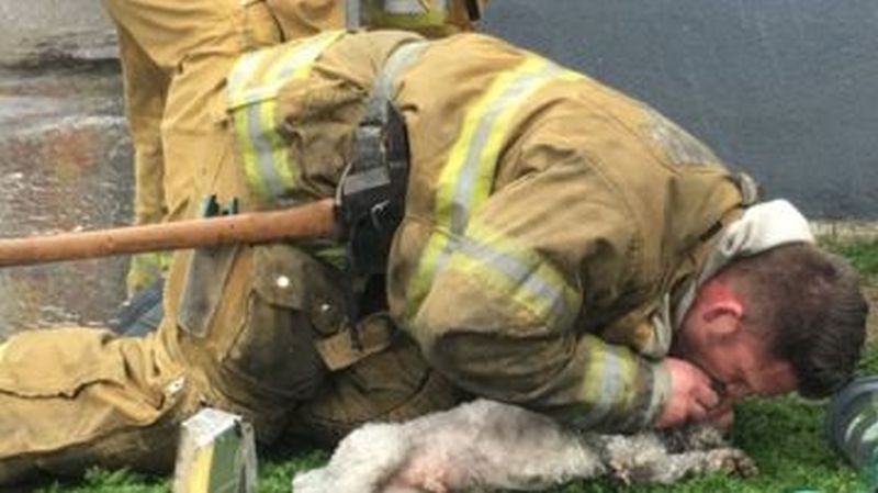 Пожарникар спаси куче с дишане уста в уста СНИМКИ