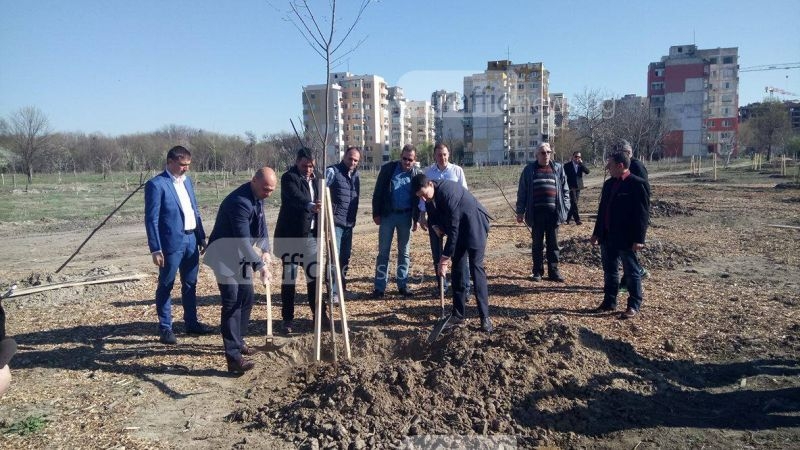 Залесяват цяла гора в Пловдив, която да се превърне в новия бял дроб на града ВИДЕО