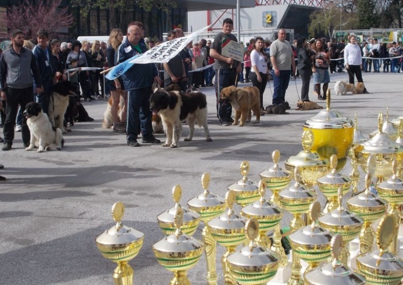 Златно и мраморно куче ще бъдат показани за първи път в Пловдив