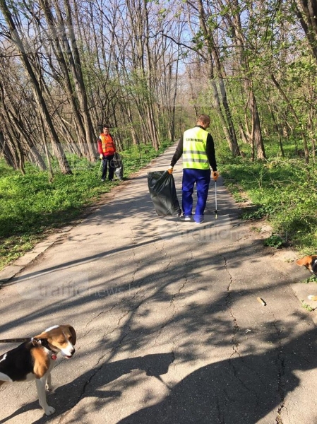 Доброволци почистиха и засяха 70 дръвчета в парк 