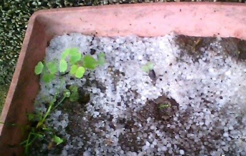 Градушка удари Ардинско СНИМКИ