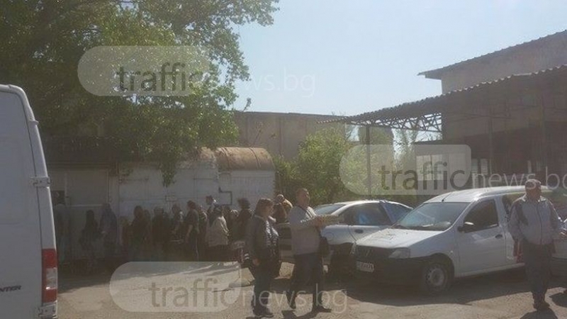 Опашки за яйца се извиха преди Велики четвъртък! Пловдивчани се готвят за Великден СНИМКИ