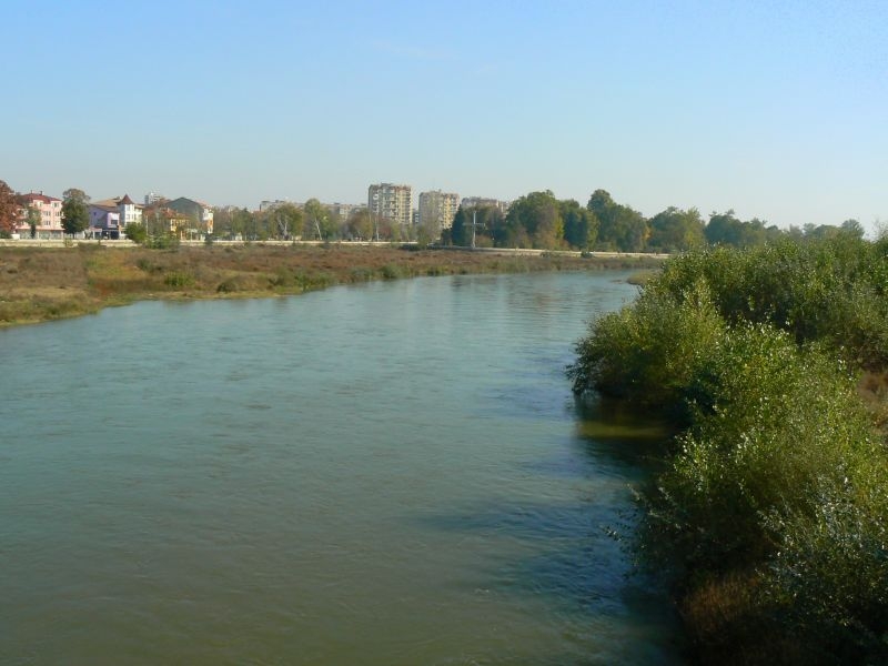 Разчистват дървета и храсти от коритото на Марица