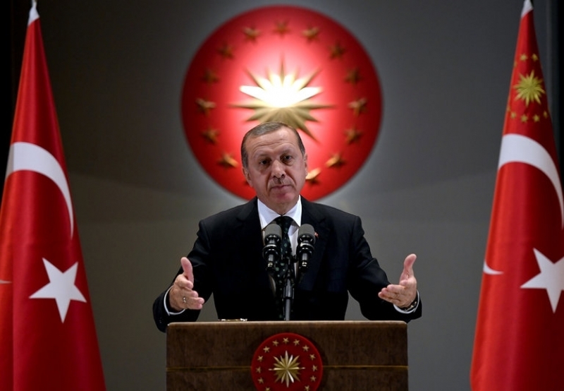 Каква власт ще получи Ердоган, ако референдумът в Турция е успешен