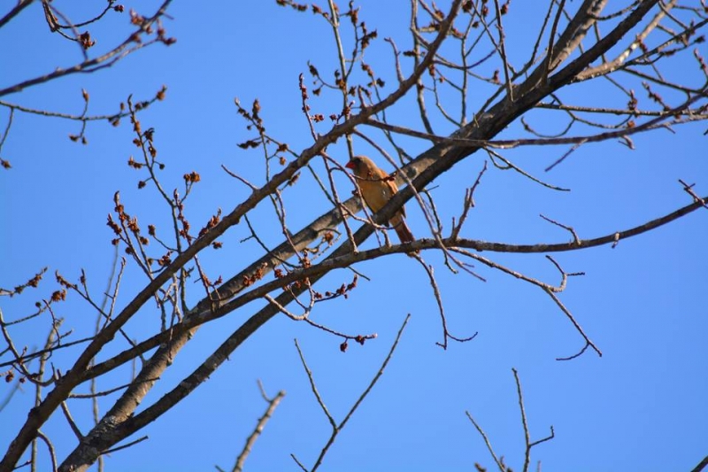 Дъждът ще спре, но временно, след това студ и даже сняг! От утре зимата се връща