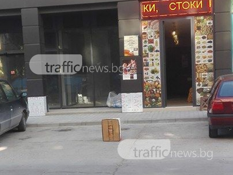 Собственик на магазин в Пловдив си заплю не едно, а две паркоместа  СНИМКИ