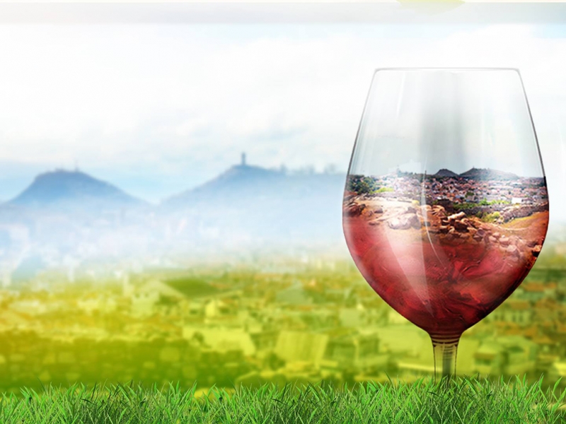 Над 50 вида вина ще изкушават пловдивчани през уикенда
